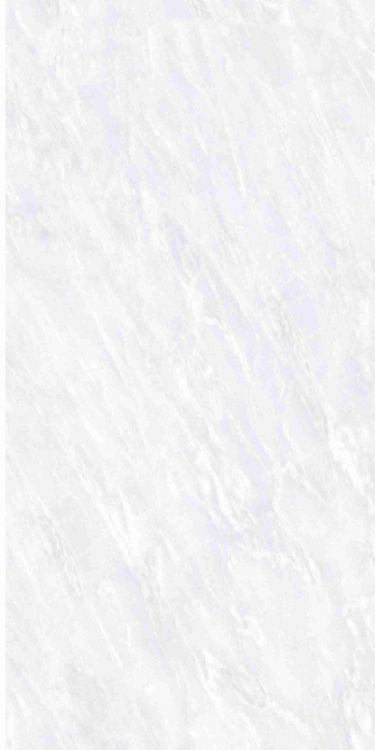 OL Vivid White Polished 12 x 24